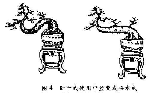 图解 怎么制作卧干式盆景的5个步骤