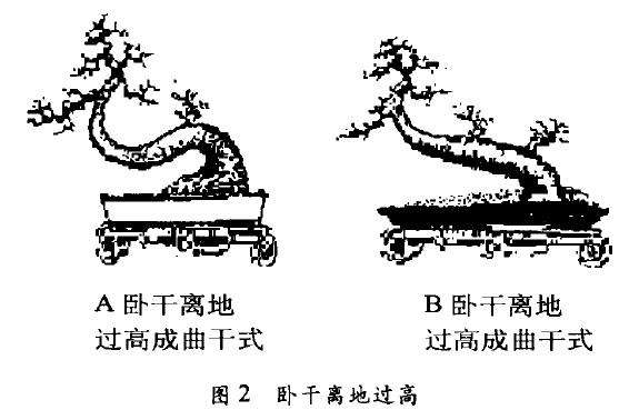 图解 怎么制作卧干式盆景的5个步骤