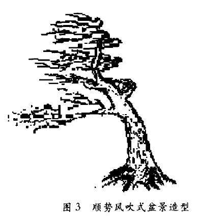 制作风吹式盆景