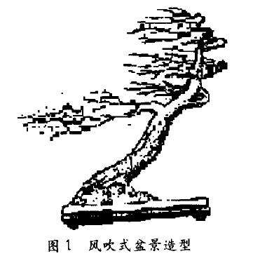 制作风吹式盆景