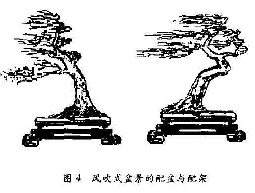 图解 怎么制作风吹式盆景的4个方法