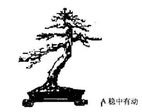 图解 斜干式树木盆景怎么制作的方法
