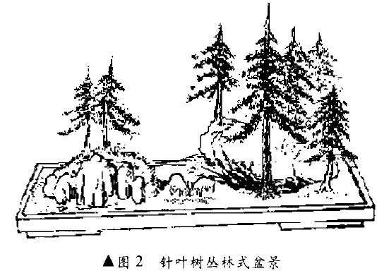 林式盆景