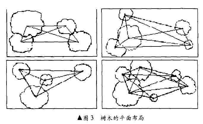 树木盆景怎么布局原则的8个方法