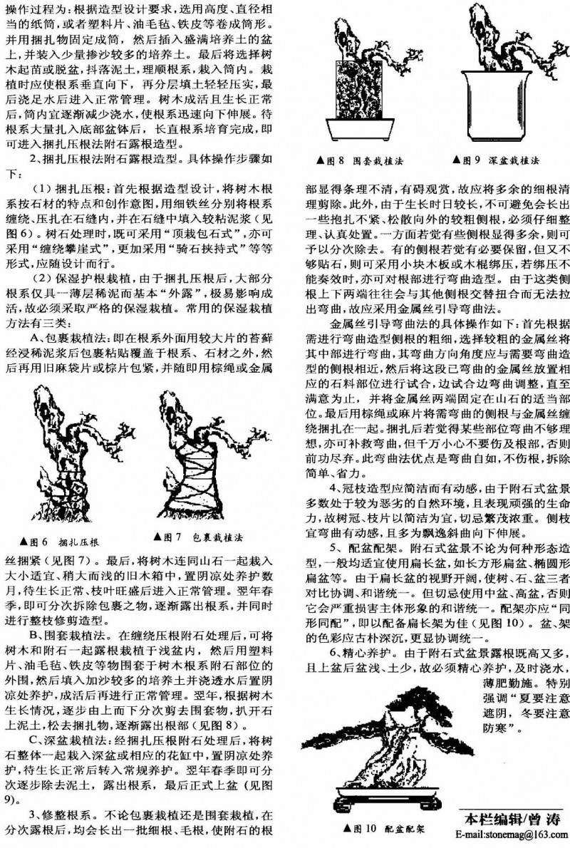 附石式盆景怎么制作的6个要点