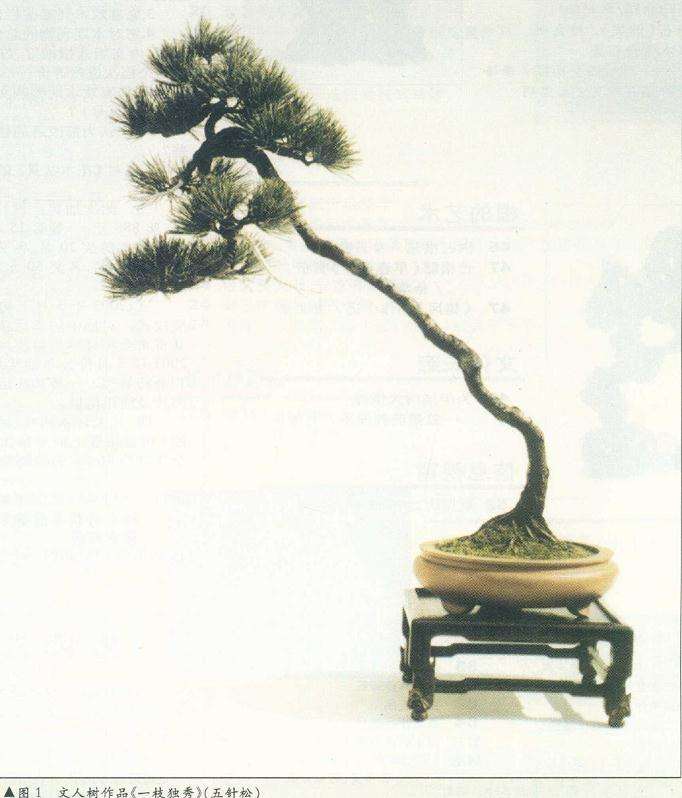 图解 在树木盆景的各种造型与风格