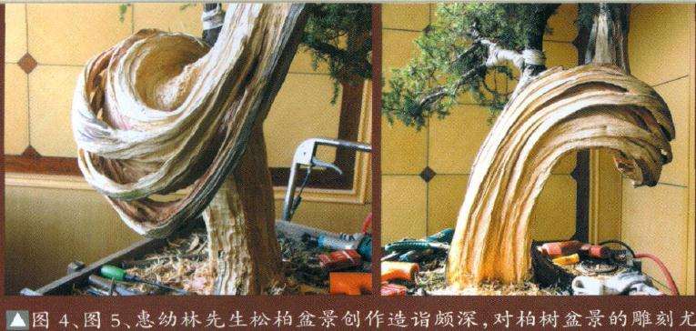 柏树盆景怎么雕刻的方法 