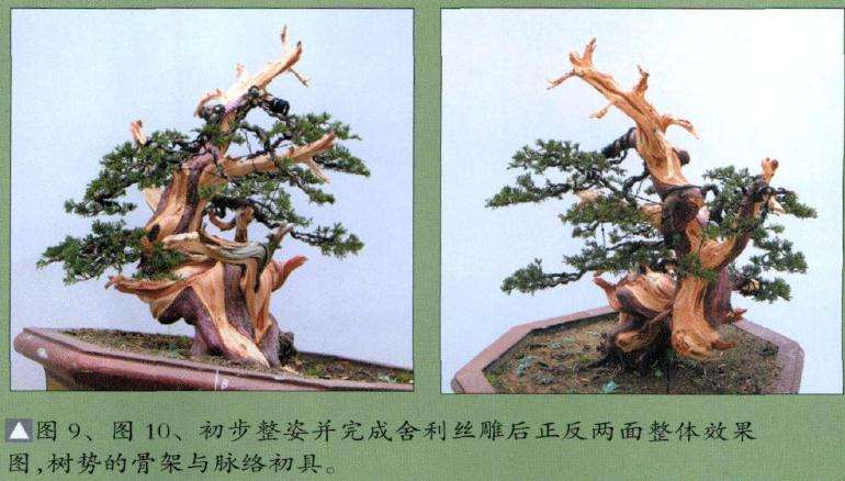 初步整姿并完成舍利丝雕后正反两面整体效果图