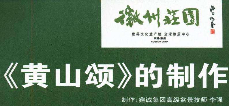 图解 黄山颂盆景怎么制作的7个步骤
