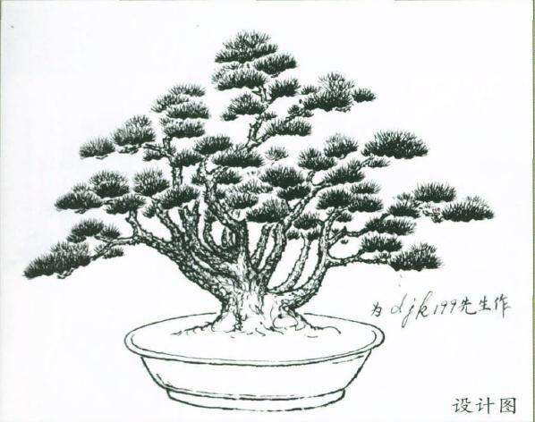 图解 盆景怎么制作设计图的4个原则