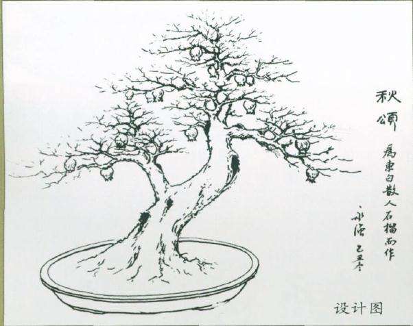 图解 盆景怎么制作设计图的4个原则