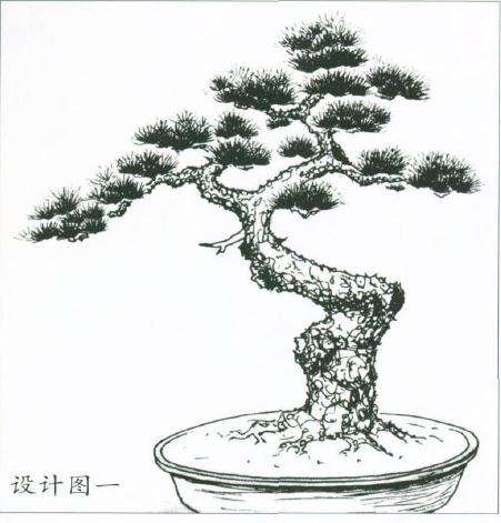 图解 盆景怎么制作设计图的4个原则