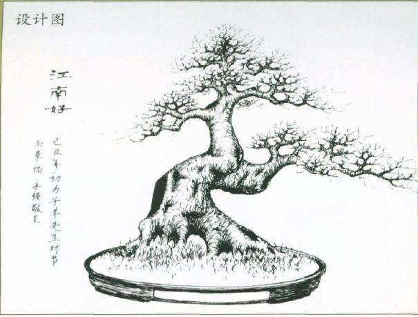 图解 盆景怎么制作设计图的4个原则