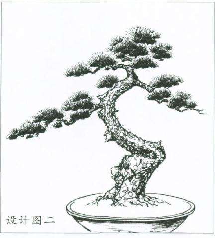 图解 盆景怎么制作设计图的4个原则