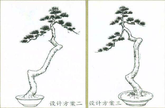 图解 盆景怎么制作设计图的4个原则