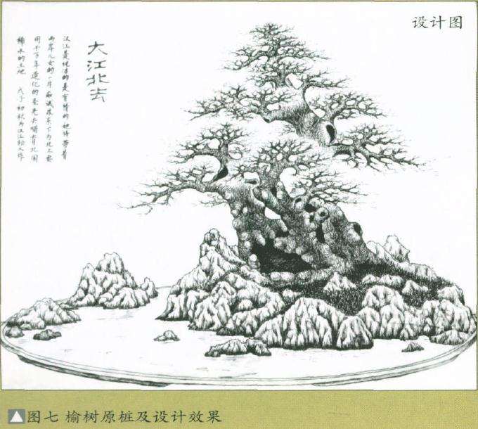 图解 盆景怎么制作设计图的4个原则