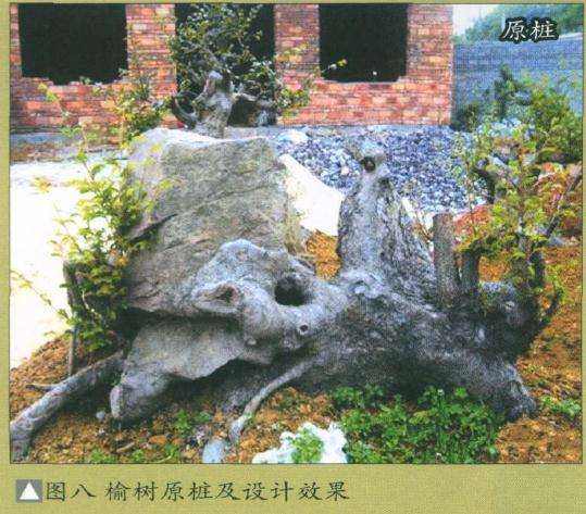 图解 盆景怎么制作设计图的4个原则