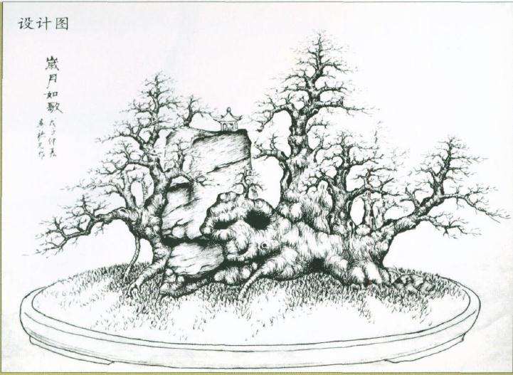 图解 盆景怎么制作设计图的4个原则