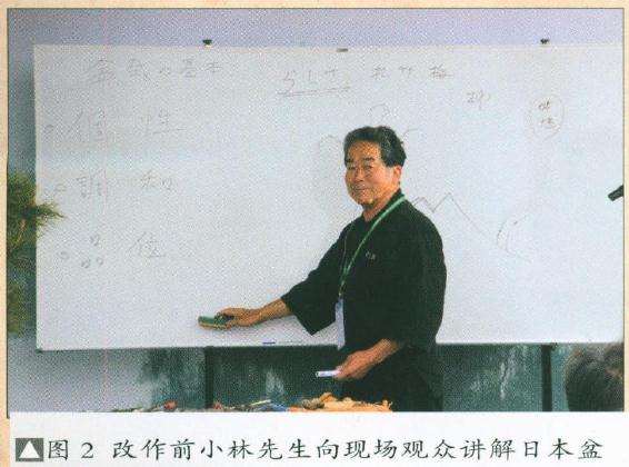 日本盆景制作的基本原则