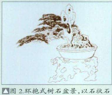 图解 环抱式树石盆景怎么制作的7个过程