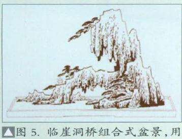 图解 环抱式树石盆景怎么制作的7个过程