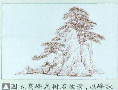 图解 环抱式树石盆景怎么制作的7个过程