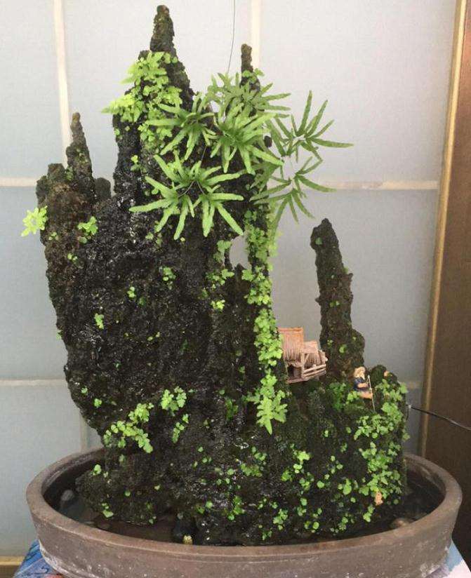 水石盆景怎么点石的5个方法