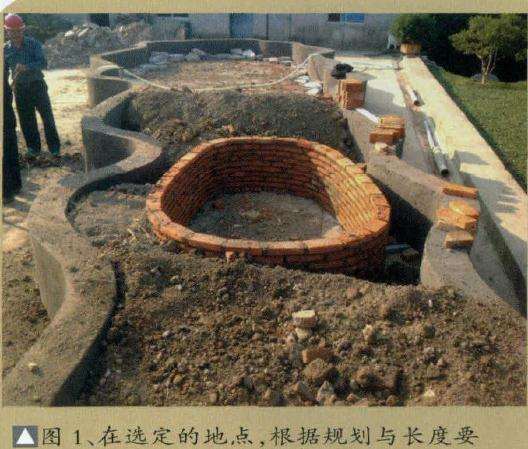 图解 超大型盆景的8个制作步骤