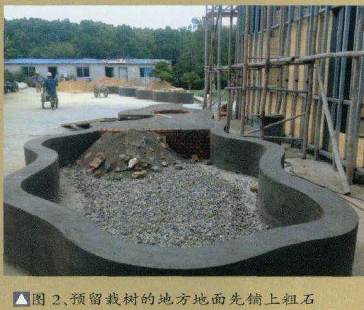 图解 超大型盆景的8个制作步骤