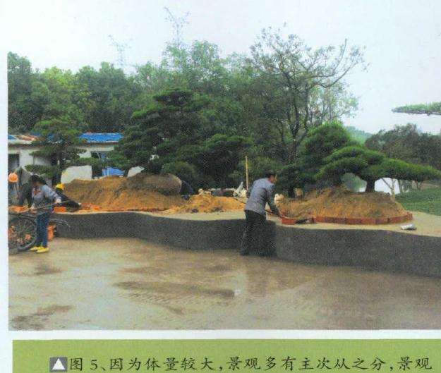 图解 超大型盆景的8个制作步骤