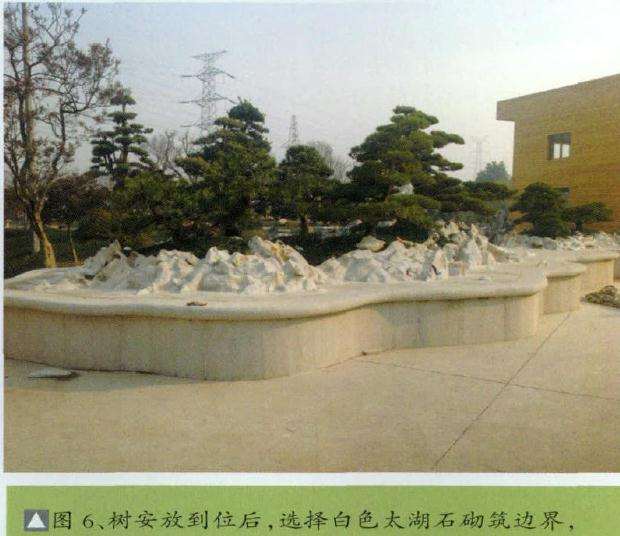 图解 超大型盆景的8个制作步骤