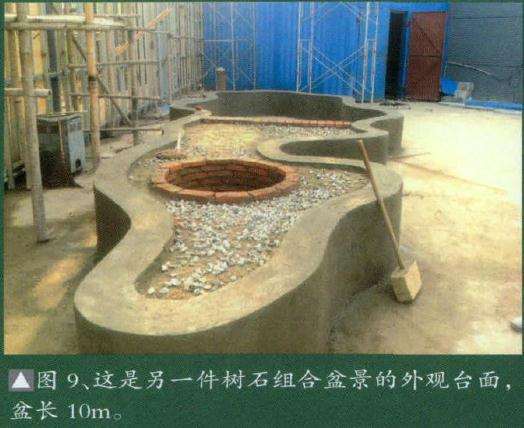 这是另一件树石组合盆景的外观台面