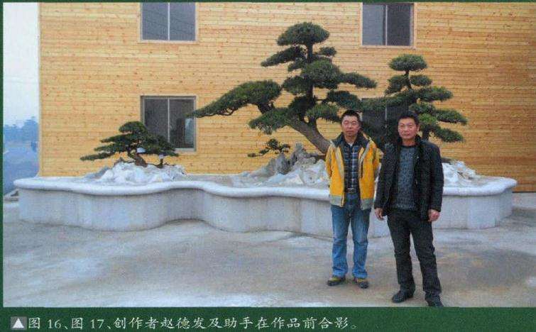 图解 大型树石组合盆景怎么制作的方法