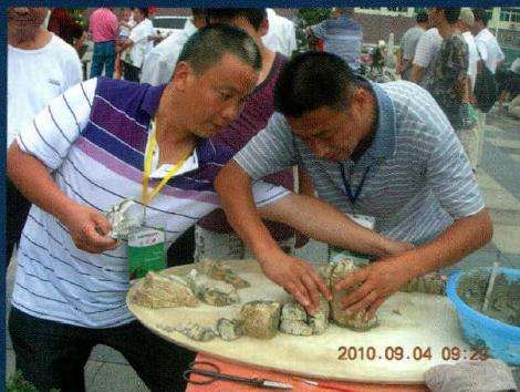 水旱盆景的制作最重要的是布局