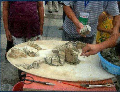 水旱盆景的制作最重要的是布局