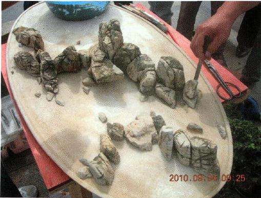 图解 水旱盆景《探幽》怎么制作的过程