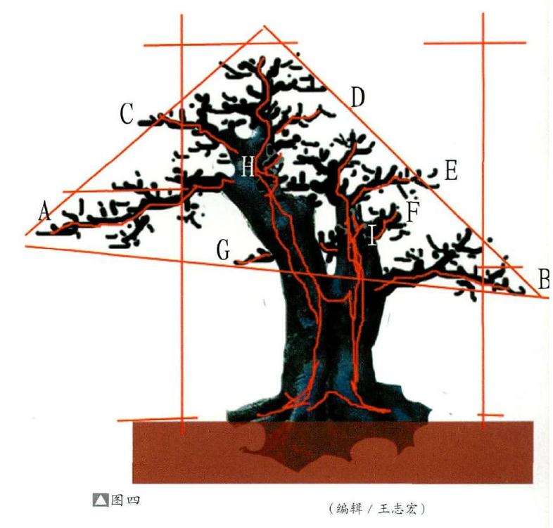 取不等边三角形盆景构图