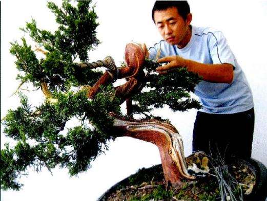 王建（湖北随州）