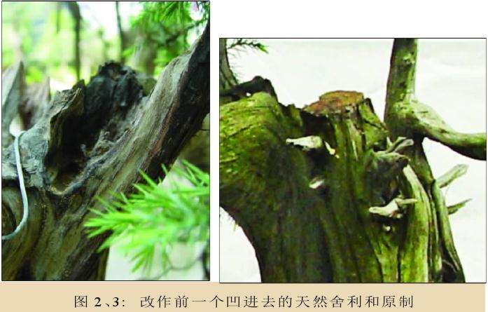 盆景天然舍利和原制作时