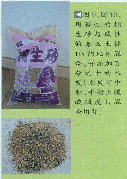 盆景土混合均匀