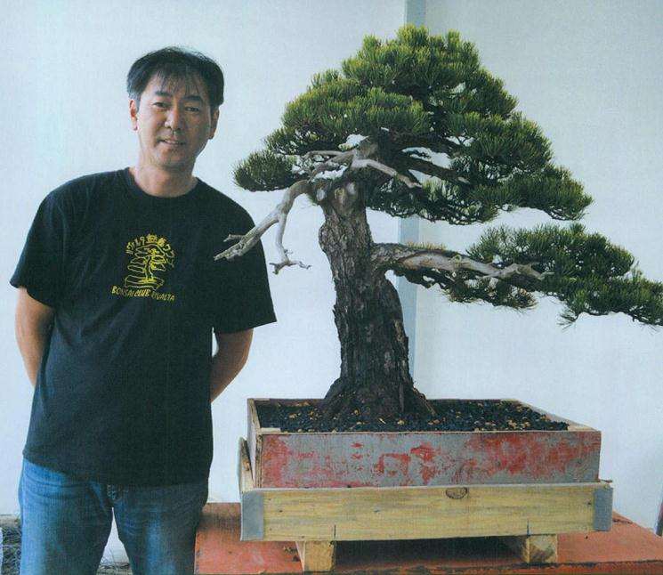 完成盆景换盆作业