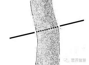 图解 盆景发芽嫁接技术之怎么打孔穿接