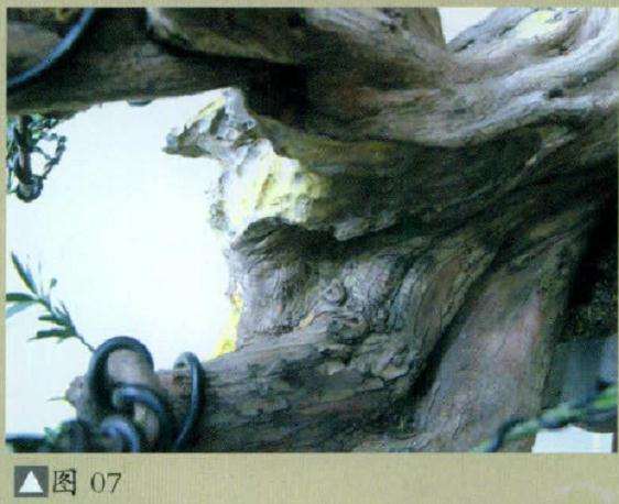 精巧的盆景雕刻