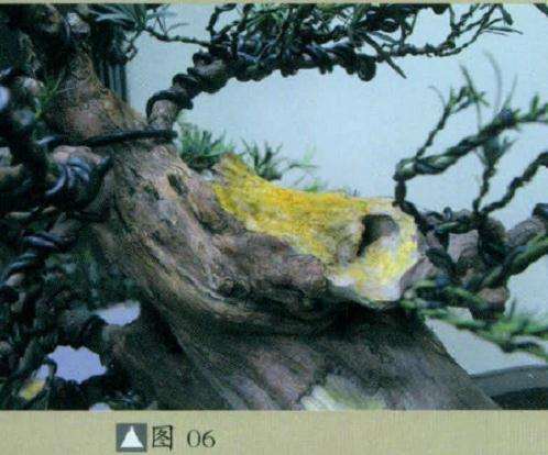 精巧的盆景雕刻