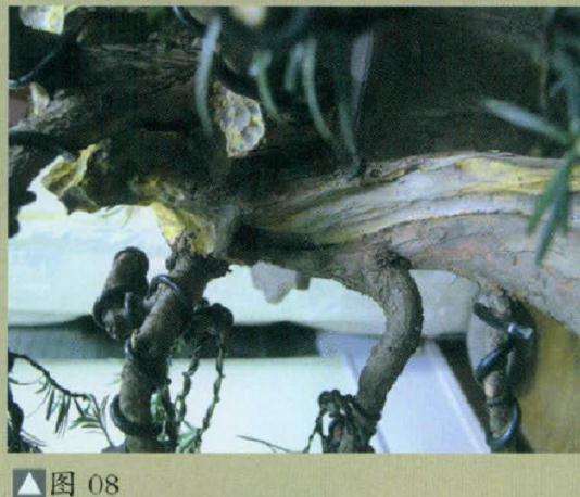 精巧的盆景雕刻