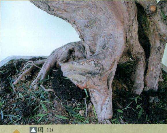 精巧的盆景雕刻