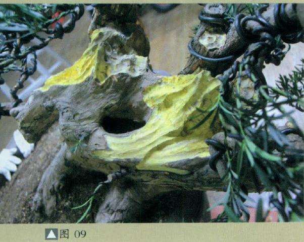 精巧的盆景雕刻