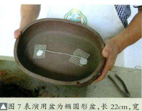 盆景表演用盆为椭圆形盆