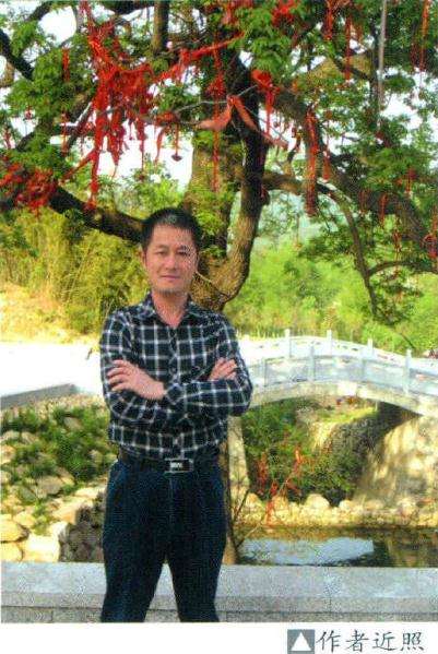 幽深山谷中的古柏