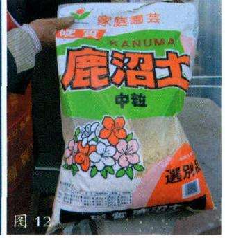 盆景专用鹿沼土